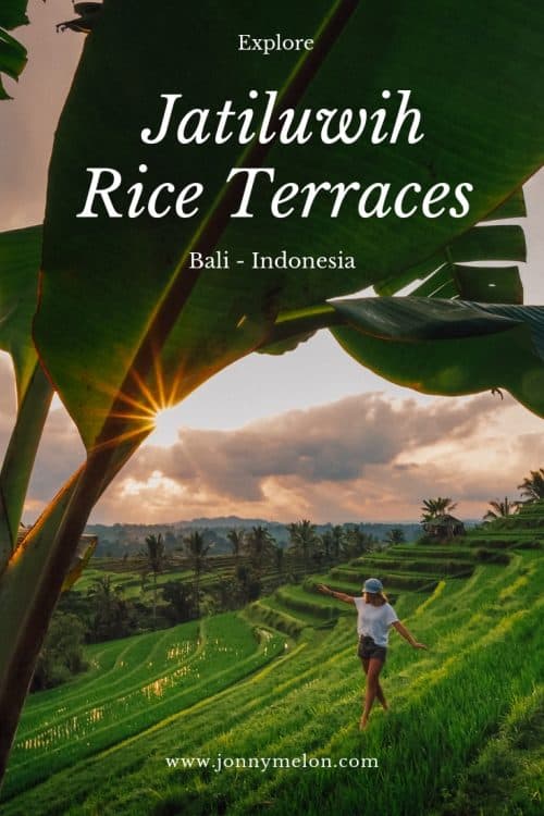 jatiluwih rice terraces