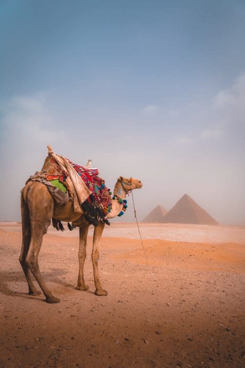 egypt itinerary, egypt and jordan tour, egypt and jordan tours, egypt and jordan