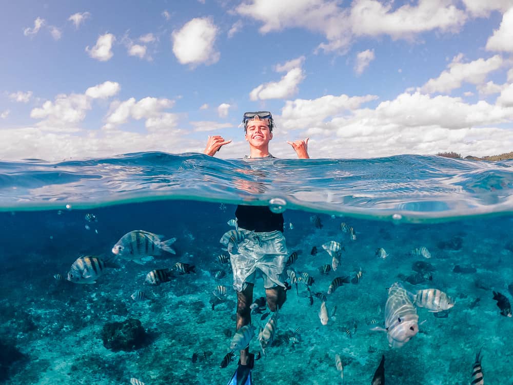 things to do in cozumel, what to do in cozumel, things to do in cozumel mexico, cozumel tours, cozumel things to do, cozumel activities, cozumel mexico things to do, cozumel attractions, cozumel beaches, best things to do in cozumel, cozumel snorkeling, best beaches in cozumel, cozumel jeep tour, best snorkeling in cozumel