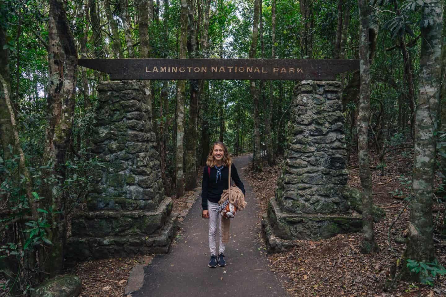 elebana falls, box forest circuit, lamington national park walks, lamington national park, lamington national park hikes, oreillys rainforest retreat