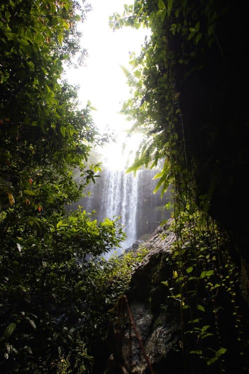 zillie falls, waterfall circuit cairns