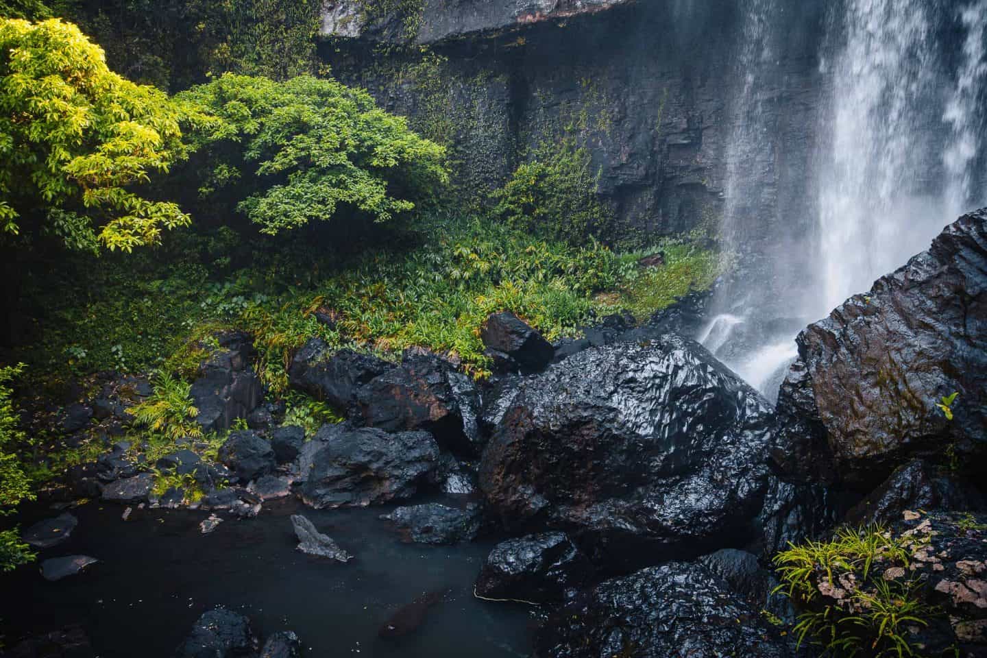 zillie falls, waterfall circuit cairns