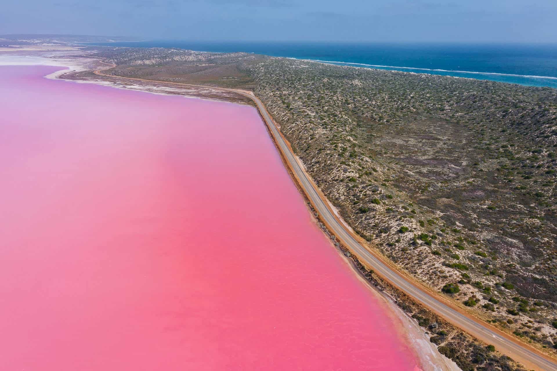 pink lake western australia, hutt lagooon, hutt lagoon pink lake, western australia pink lake, pink lake australia