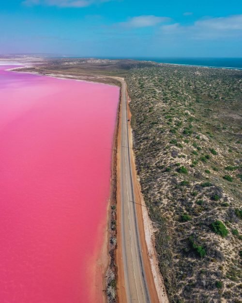 pink lake western australia, hutt lagooon, hutt lagoon pink lake, western australia pink lake, pink lake australia