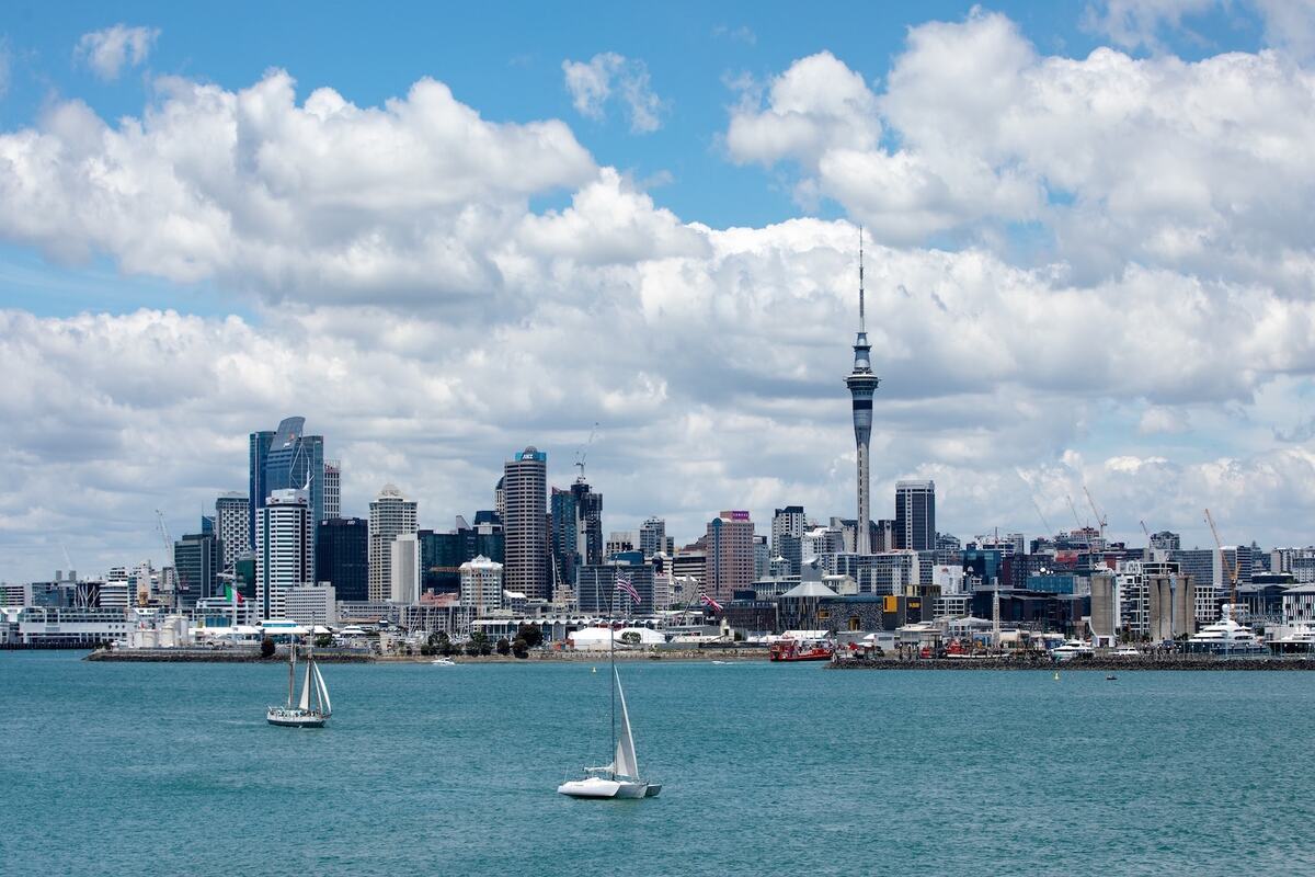 tours in auckland, auckland tours