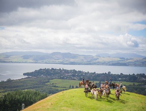 Horse trekking in Rotorua