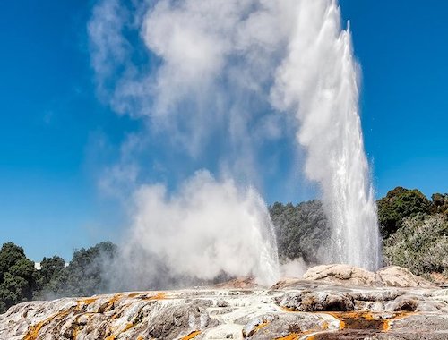 Rotorua group tour from Auckland