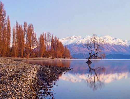 Arrowtown and Wanaka Highlights Tour