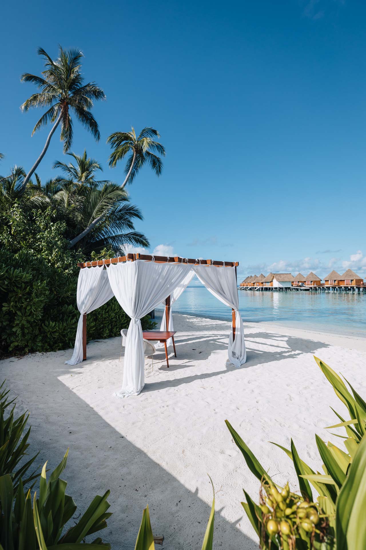 beach pool villas maldives, beach pool villa Maldives, maldives beach villa with pool, maldives beach villa with private pool, beach pool villas in Maldives