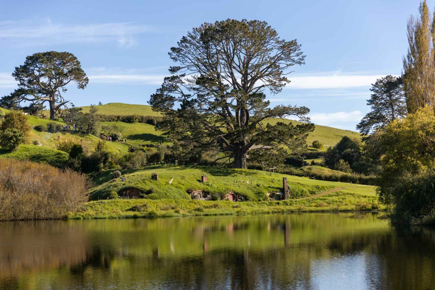 tours from auckland to hobbiton, hobbiton tours from auckland