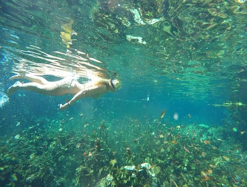 Snorkeling Adventure Tour Reef Cenote