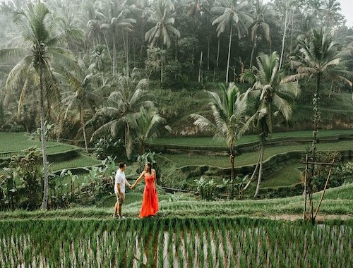 ️ Bali Instagram Tour- The Most Famous Spots (Private & All-Inclusive)