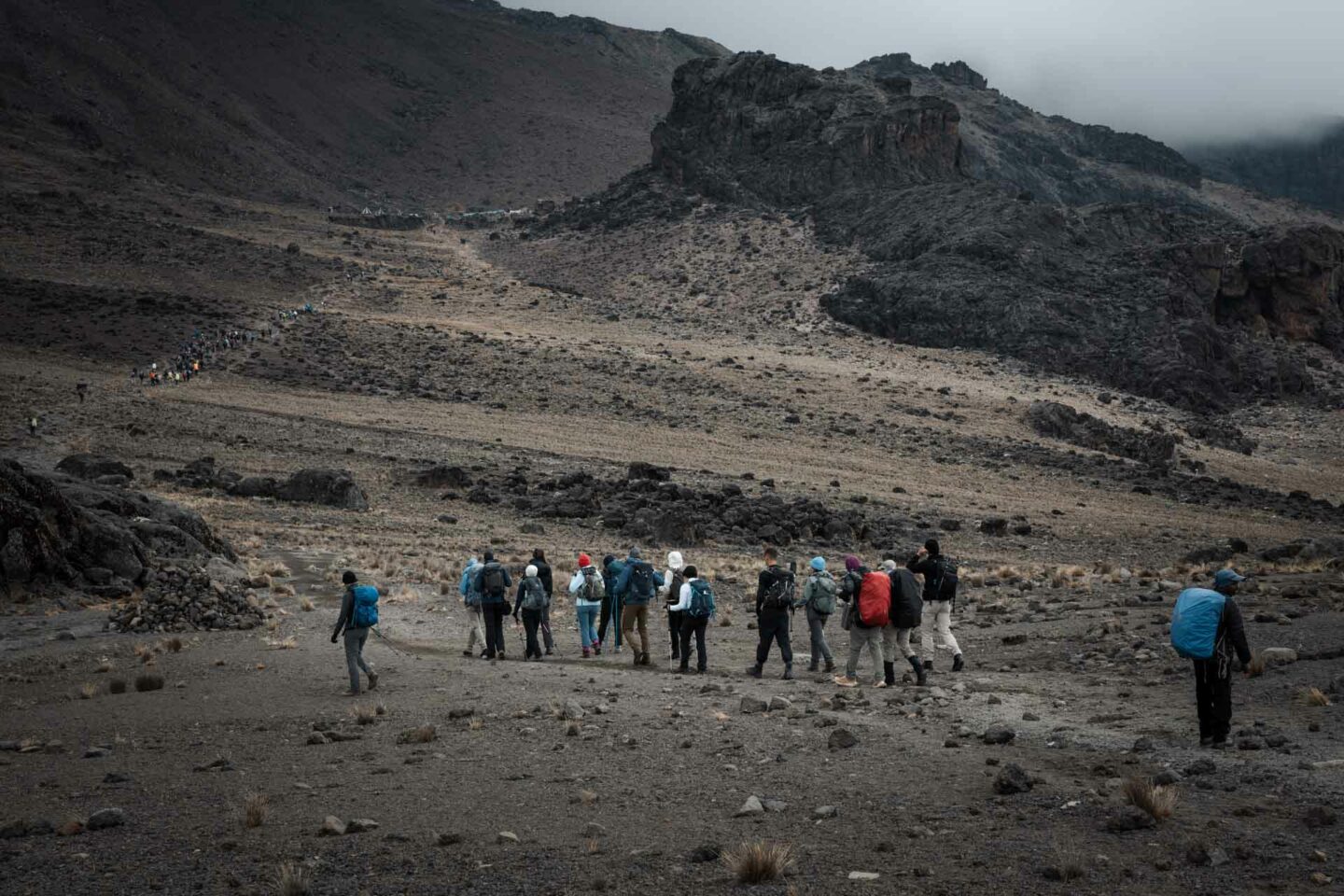 Kilimanjaro Hike 137