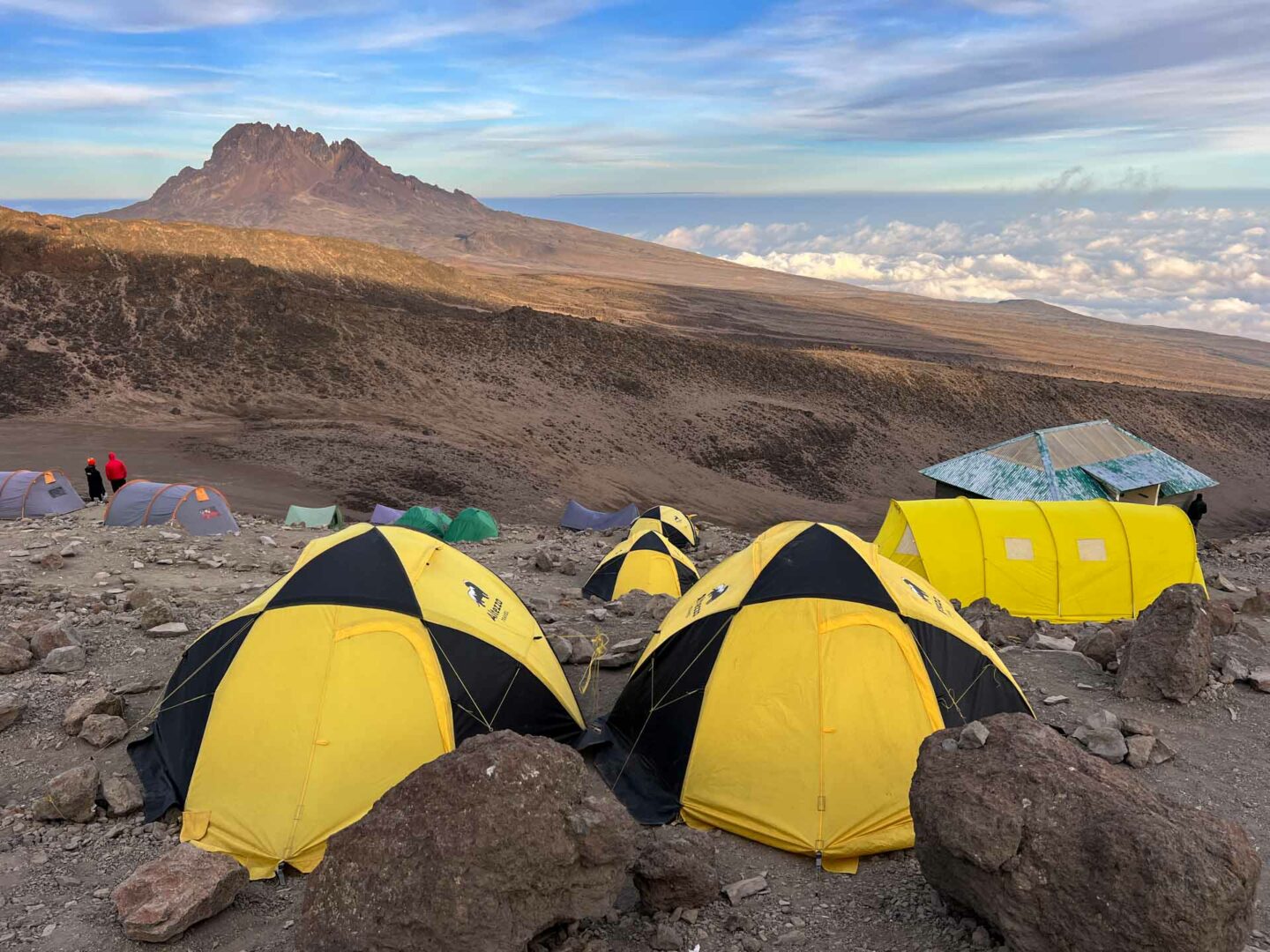 Kilimanjaro Hike 199