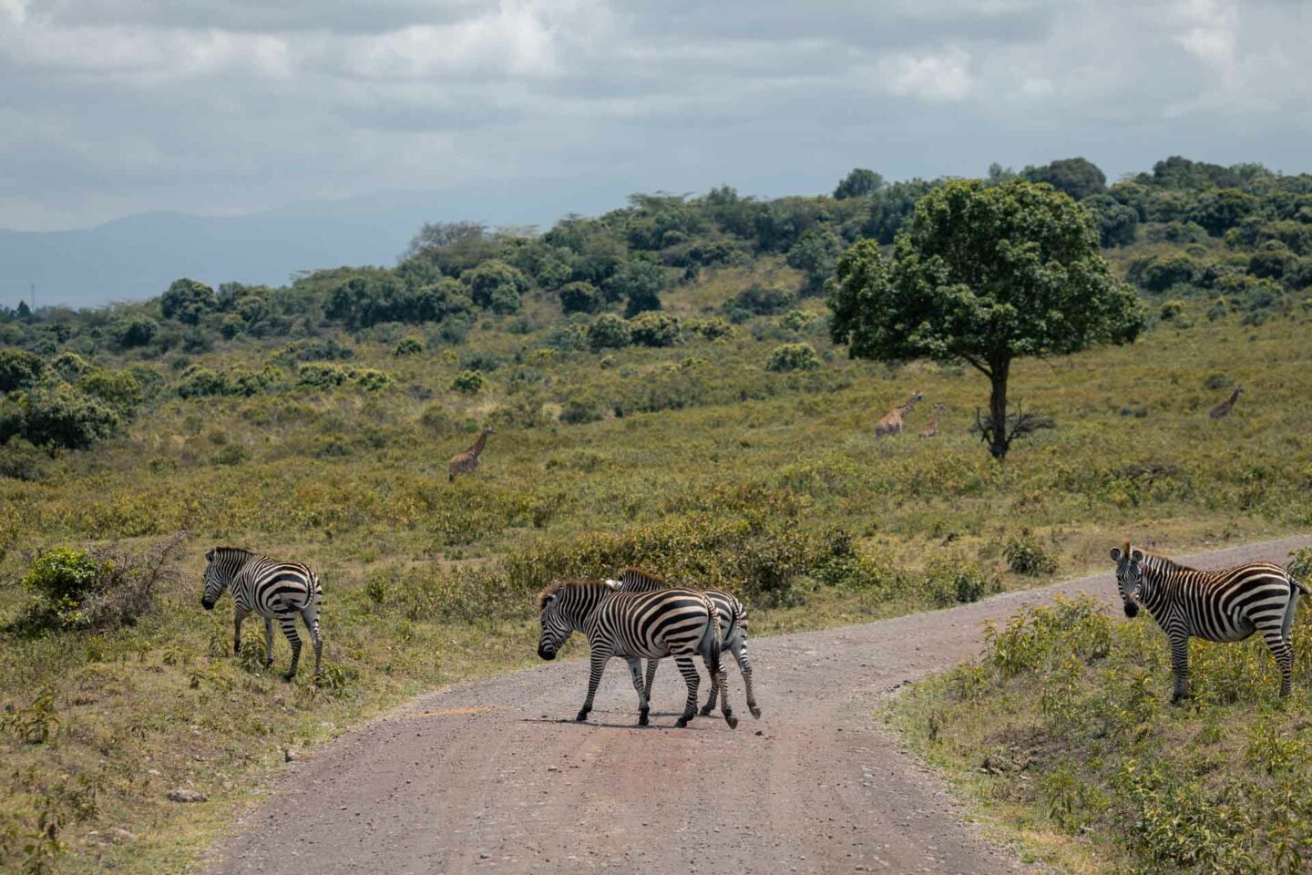 Arusha National Park 8