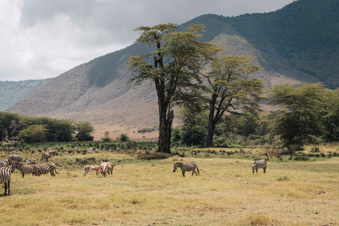 Ngorongoro Crater 30