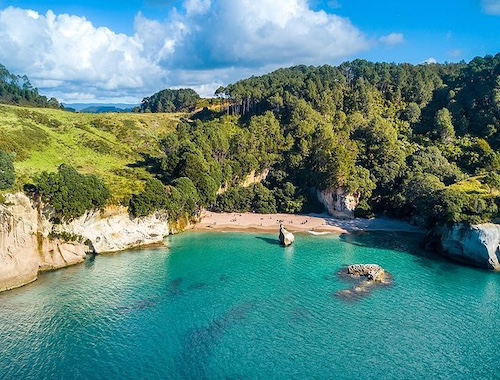 Coromandel Peninsula Highlights Small Group Tour from Auckland